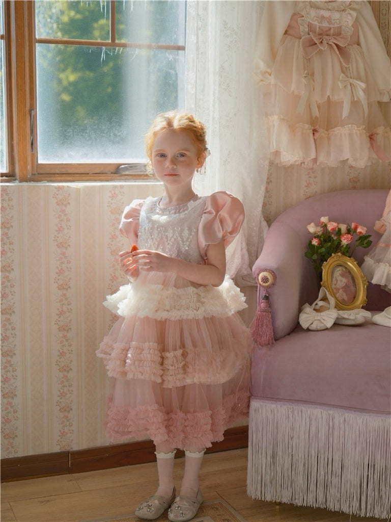 Pink Ombre Tulle Heavywork Sequined Princess Birthday Cake Dress 66